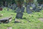 PICTURES/London - Kensal Green Cemetery and Catacombs/t_DSC03395.JPG